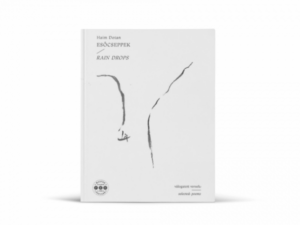 Esőcseppek – Rain Drops