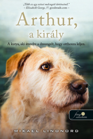 Arthur, akirály - a kutya, aki átszelte a dzsungelt, hogy otthonra leljen