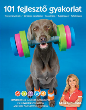 101 fejlesztő gyakorlat