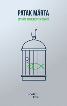 Enyhítő körülmények között