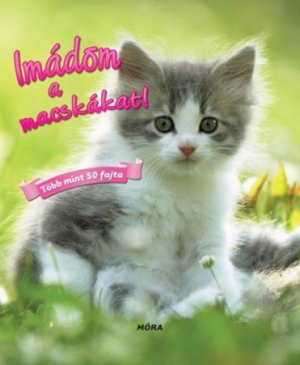 Imádom a macskákat!