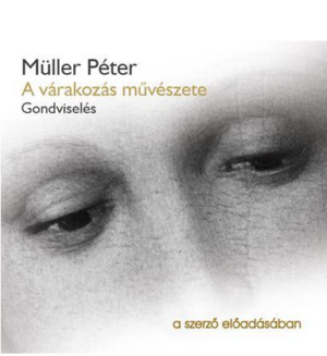 A várakozás művészete - Hangoskönyv