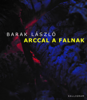Arccal a falnak